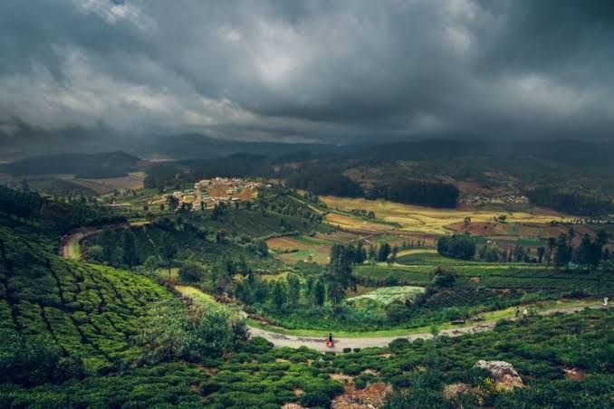 Bangalore,Mysore & Ooty Tour Package